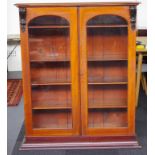 Antique 2 door bookcase