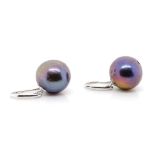 Cultured black pearl and silver hanging earrings