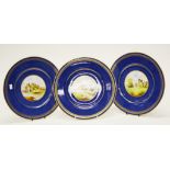 Three Wedgwood A. Holland signed plates