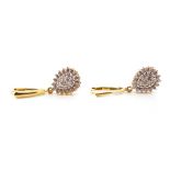 Diamond cluster drop and 10ct yellow gold earrings