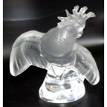 Large Lalique France crystal cockatoo sculpture