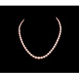 Graduated Mikimoto pearl necklace