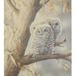 Attrib Angela Camden 'Owls'