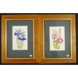 Three various framed floral watercolours
