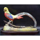 Royal Crown Derby "Chinese golden cock" pheasant