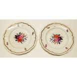 Pair antique Coalport type hand painted plates