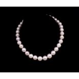 Single strand cultured pearl necklace