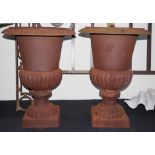 Two cast iron garden urns