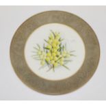 Royal Worcester Australian Wattle flowers plate