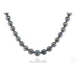 Tahitian pearl necklace