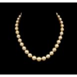 South sea golden pearl necklace