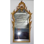 Ornate gilt framed mirror