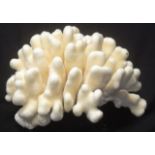 Soft cauliflower coral specimen
