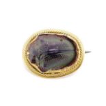 Antique scarab beetle and yellow gold brooch