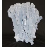 Blue Ridge coral specimen