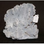 Small Blue Ridge coral specimen