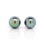 Tahitian pearl and white gold stud earrings