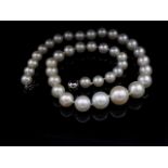 Broome pearl necklace