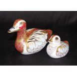 Two Royal Crown Derby "Duck" paperweights