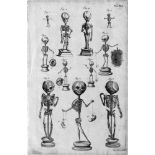 Seiller, Johann Georg: Anatomische Darstellung eines KinderskelettsAnatomische Darstellung eines