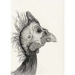 Fioratti Loreto, Arianna: "Guinea Fowl" - Helmperlhuhn im Profil nach rechts"Guinea Fowl" -