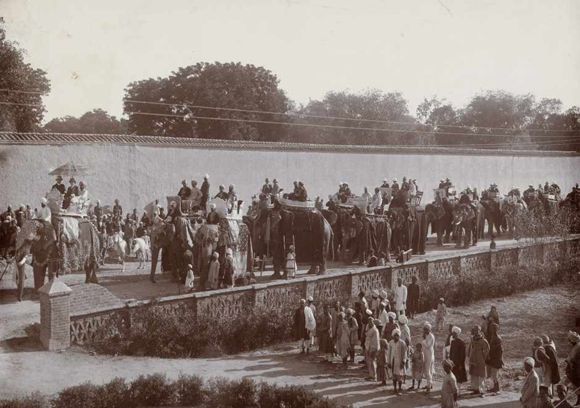 British India: ElephantsPhotographer unknown. Elephants. Circa 1900. 8 collodion paper and albumen