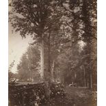 Kotzsch, August: Stone wall in forest; Picturesque farm(Attributed to). Stone wall in forest;
