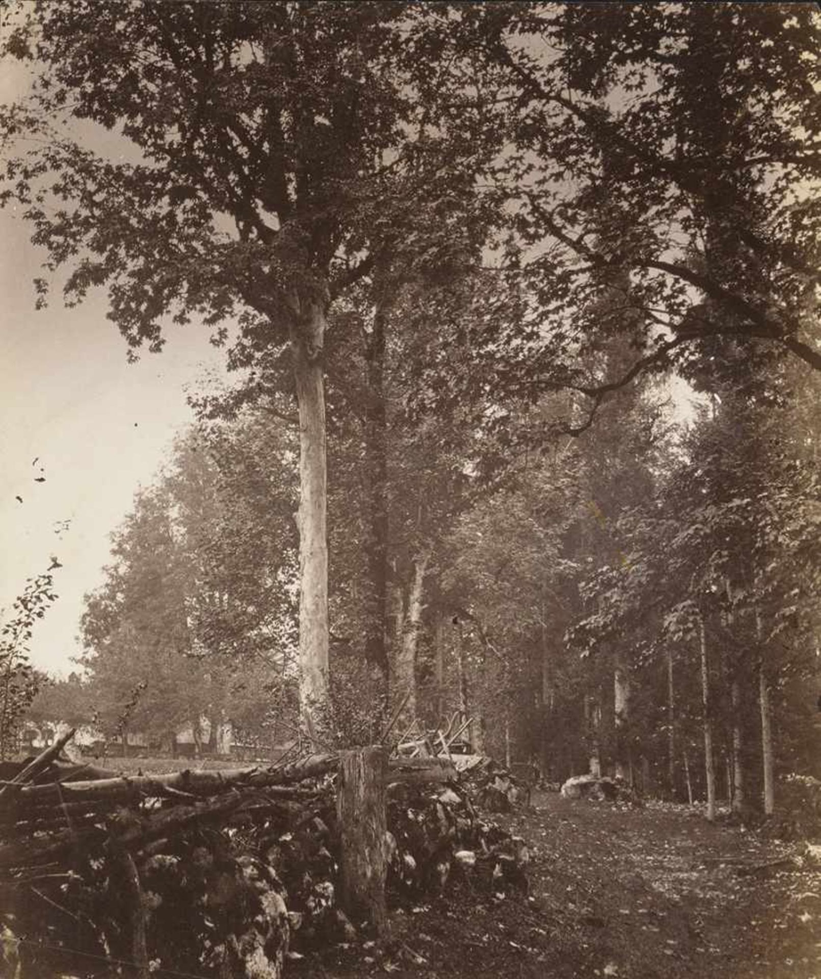 Kotzsch, August: Stone wall in forest; Picturesque farm(Attributed to). Stone wall in forest;