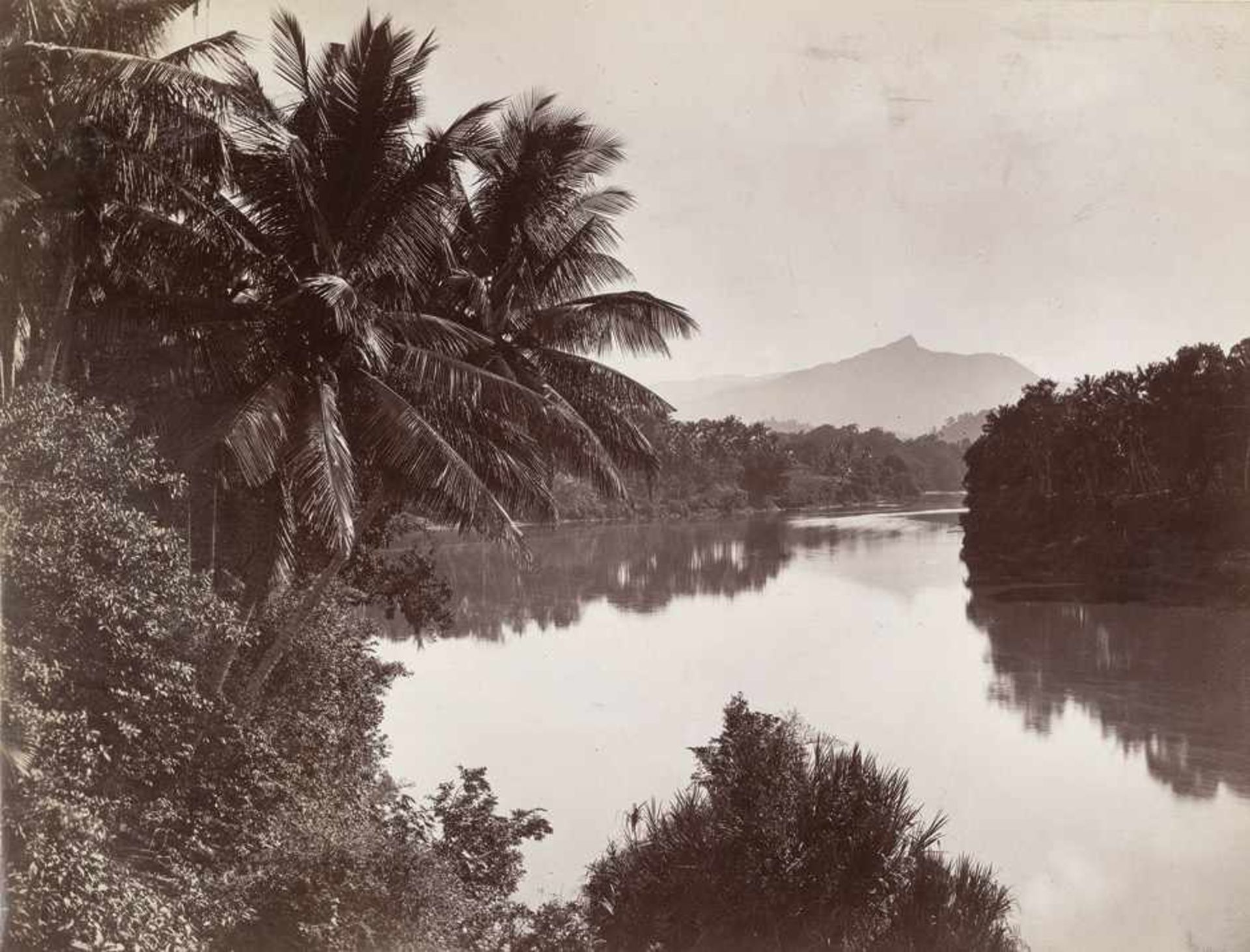 Ceylon: Rubber trees, palms, landscapes, plantations and villagesPhotographer: Scowen, Platé and