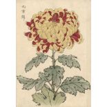 Keika, Hasegawa: Keika Hyakugiku (japonice: Die 100 Chrysanthemen von Keika).Keika, Hasegawa.