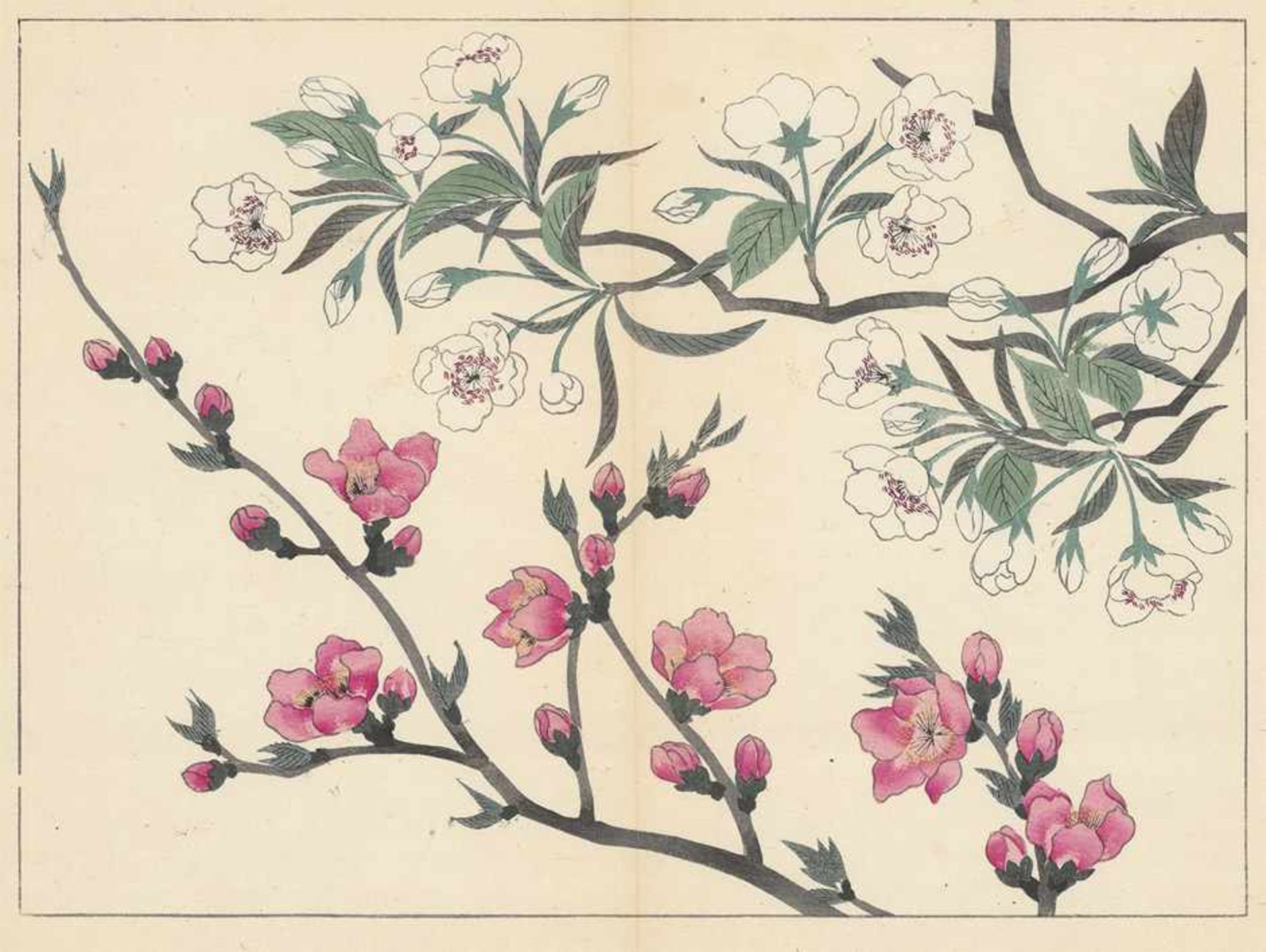 Shiki-no-hana: 4 Blätter aus den Jahreszeitlichen BlumenShiki-no-hana (japonice: Jahreszeitliche