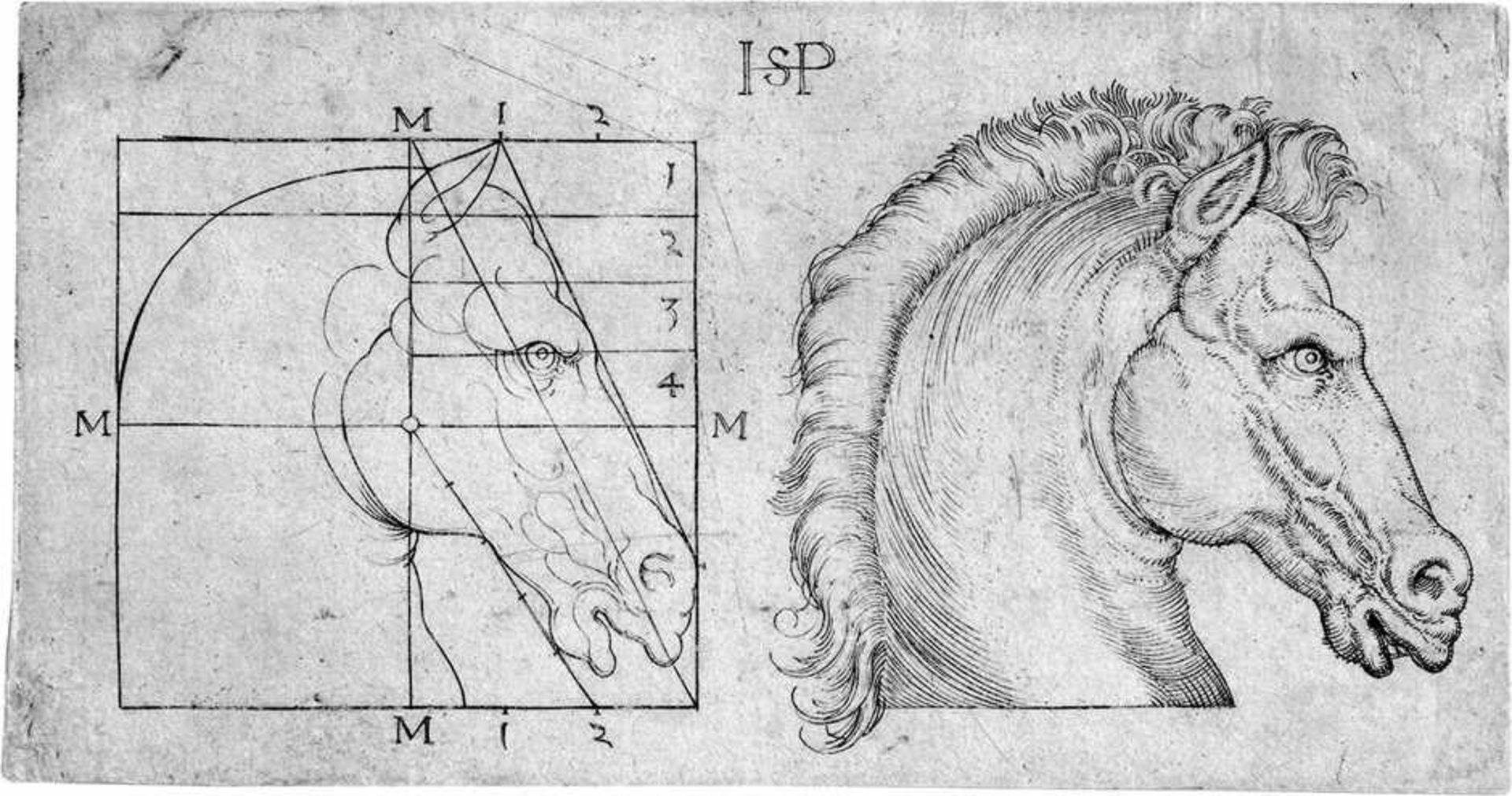 Beham, Hans Sebald: Zwei PferdeköpfeZwei Pferdeköpfe. Kupferstich. 4,9 x 9,3 cm. B. 218, Pauli