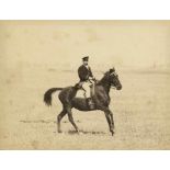 Anschütz, Ottomar: Calvary horses with riders, GraditzCalvary horses with riders, Graditz. 1883. 3