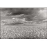 Heyden, Bernd: Wheat fieldWheat field. 1970s. Vintage gelatin silver print. 19 x 28,5 cm. Signed