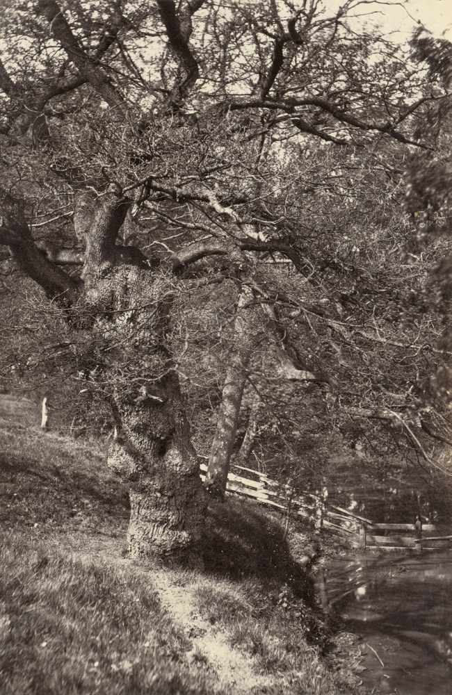 British Landscapes: Views of EnglandPhotographer: Francis Frith (1822-1898), James Valentine (1815-