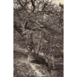 British Landscapes: Views of EnglandPhotographer: Francis Frith (1822-1898), James Valentine (1815-