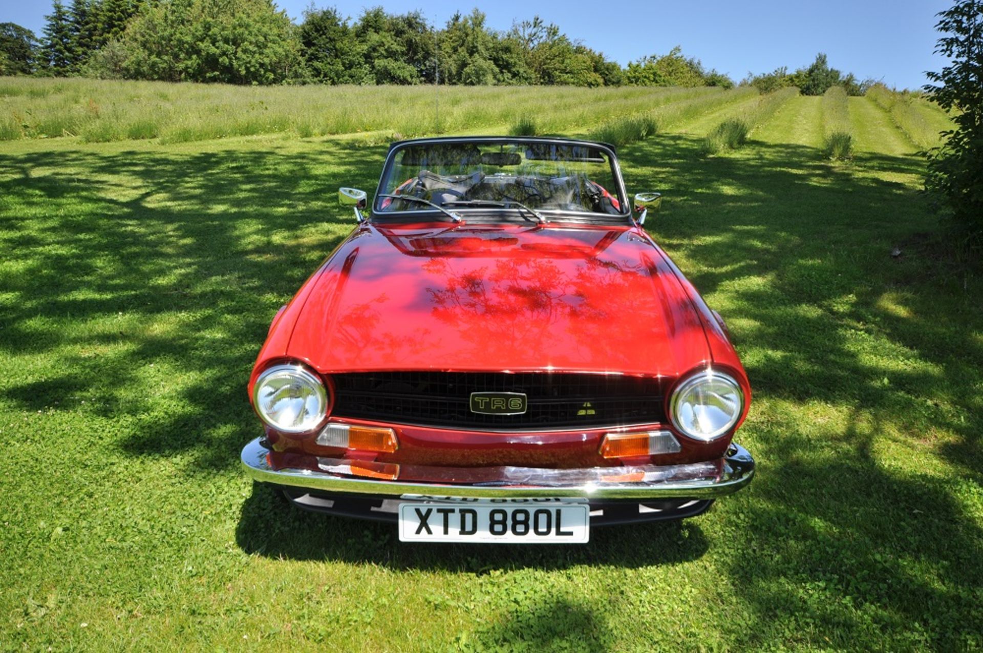 1973 Triumph TR6 2.5 injection RHD - Image 5 of 19