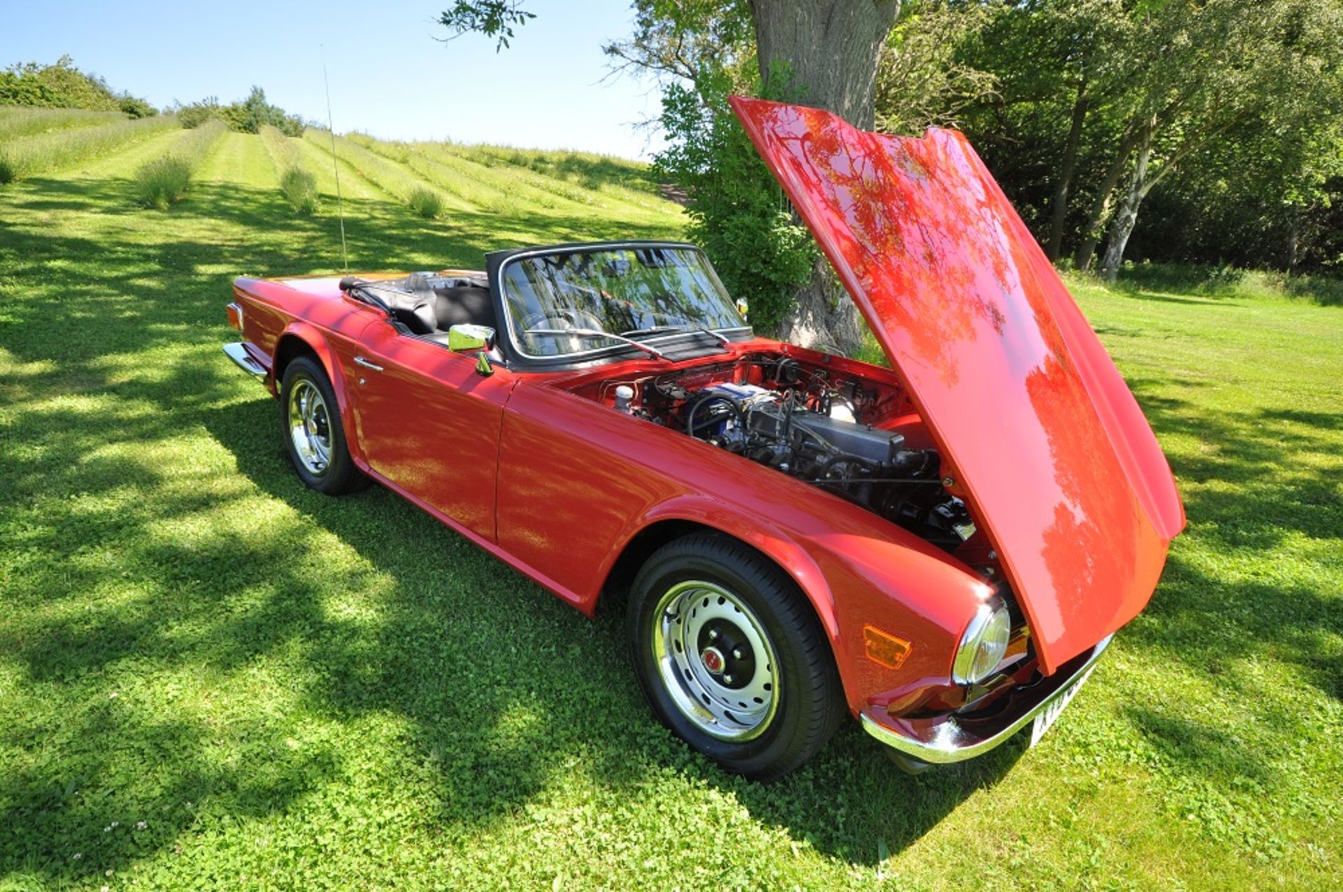 1973 Triumph TR6 2.5 injection RHD - Image 7 of 19