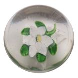 A St Louis glass 'flower weight': set with a double white clematis-like bloom and five leaves,
