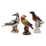 A group of three Meissen models of birds: comprising a greater spotted woodpecker,