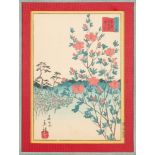 After Ando Hiroshige II Japanese woodblock print: 'Azaleas at Okubo in Tokyo',