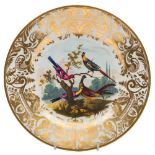 A Derby ornithological plate: the central reserve attributed to Richard Dodson and painted with