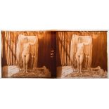 An early 20th century Continental diapositive stereoscope plate of a female nude:,