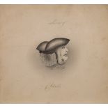 An early 19th century pencil rotating head illusion 'Lawyer & Client' :,
