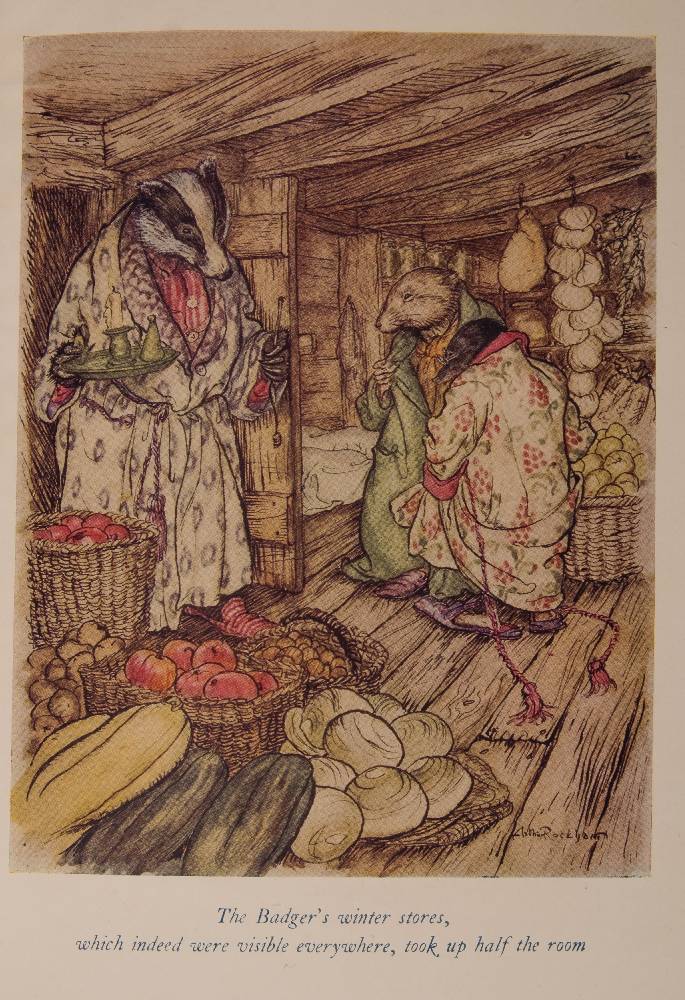 RACKHAM, Arthur ( illustrator ) - The Wind in the Willows : 12 colour plates, org. - Image 4 of 4