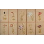 English School 19/20th Century- Varieties of Lily,:- a set of ten watercolours each 38 x 26cm.