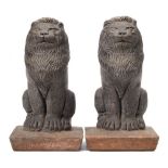 A pair of pottery seated lion finials: mounted on square tapering bases 35cm. high.