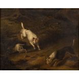 Samuel Raven [1775-1847]- Three dogs ratting on a sandy bank,:- oil on panel 16 x 20.5cm.