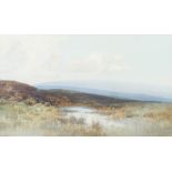 Frederick John Widgery [1861-1942]- Purbeck Moors near Studland,