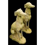 A pair of reconstituted stone garden figures of seated greyhounds:, on shaped bases,